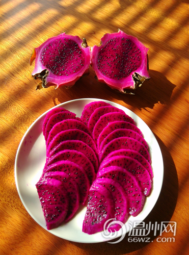 浙江首家火龙果酒进入温州 吃货们有福啦|钦州