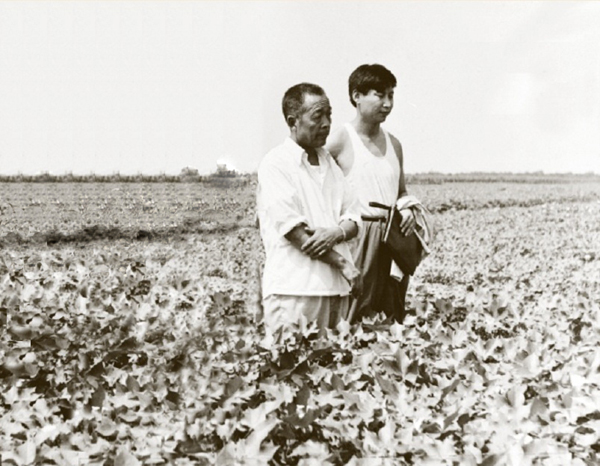 1983年8月9日，时任中共正定县委书记的习近平轻车简从到田间地头查看棉花生产情况。