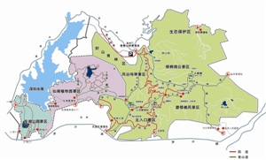 梧桐山主要行山线路图 地图来源:梧桐山风景区网站