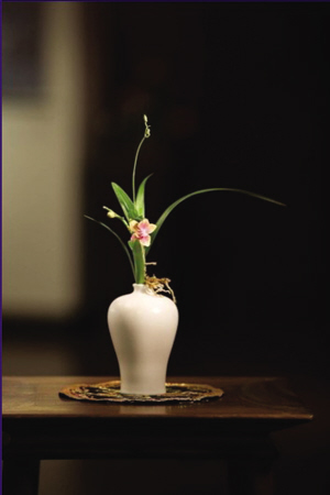 日本茶道中有千利休的两个故事.