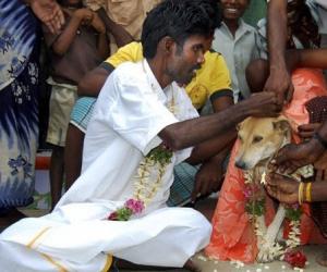 【新闻有读554期】电车痴汉裸睡北京地铁 智能