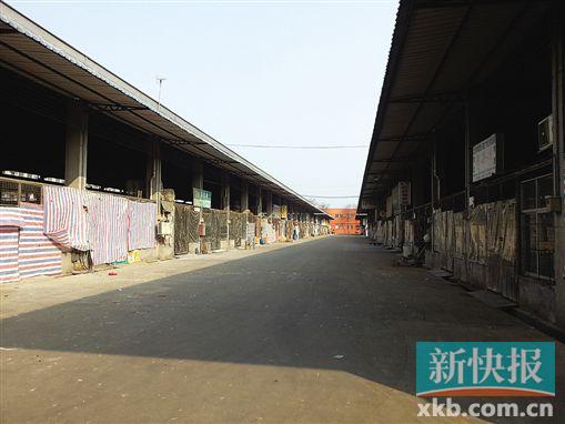 没鸡卖!批发商损失惨 没鸡吃?可以买冰鲜鸡|休