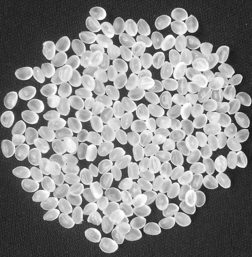 PP期货今日挂牌交易|期货|合约