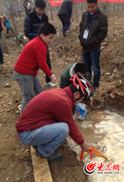 山师附小2012级2班参加大众网植树活动纪实|班