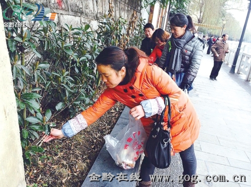b19379fe-04a2-475b-a5ba-a4534bbd2c2b.jpg
