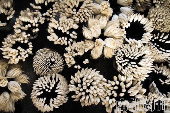 文房四宝之湖笔|沙孟海|技艺