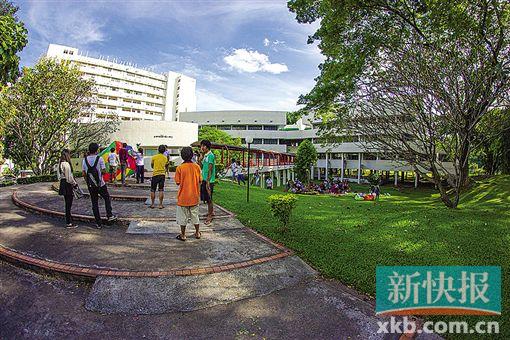 暂不去曼谷 就在清迈逍遥游|游客|旅行社