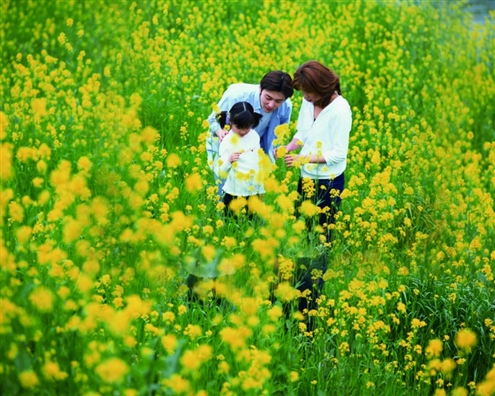 春游踏青利健康|呼吸|阳气