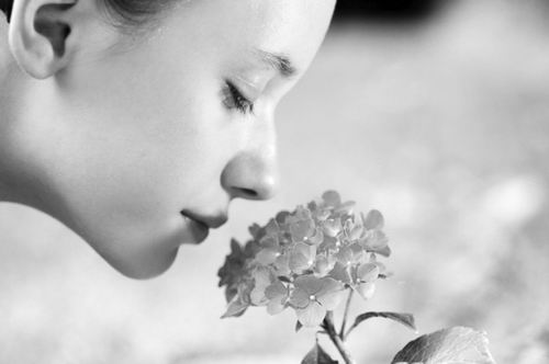 人类鼻子可识别1万亿种气味 颠覆嗅觉传统观念