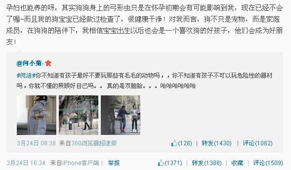 何洁孕中遛狗引粉丝担心 称不会因为怀孕而遗弃(图)
