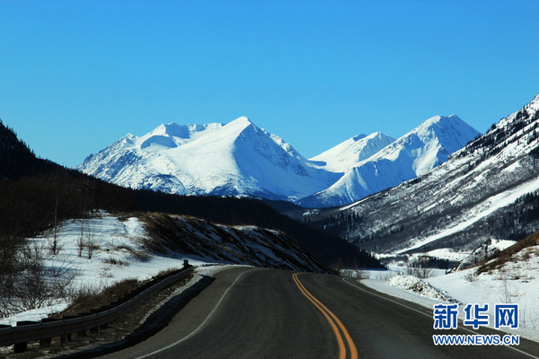 高清组图:在加美边境邂逅北美驯鹿|加拿大|美国