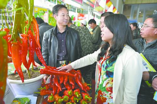 中国北方农业科技成果博览会闭幕|农业|温室栽