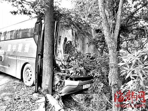 永泰天门山附近 旅游大巴撞树一乘客受伤|大巴