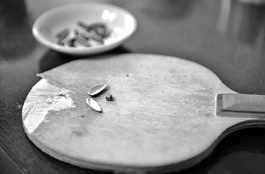 猜瓜子单双致胜的奥妙就藏在球拍和瓜子里 本报记者 苏颖 摄