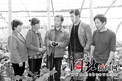 图为司马堡村大棚蔬菜服务组组长李竹卯(中)给村民讲解大棚菜管理技术。冯雨摄