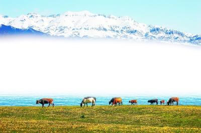 我省征集旅游体验师 现场直播华博会|旅游|国旅