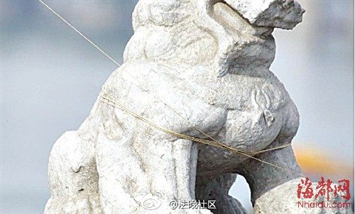 200多岁颐和园石狮 被放风筝|风筝|文物