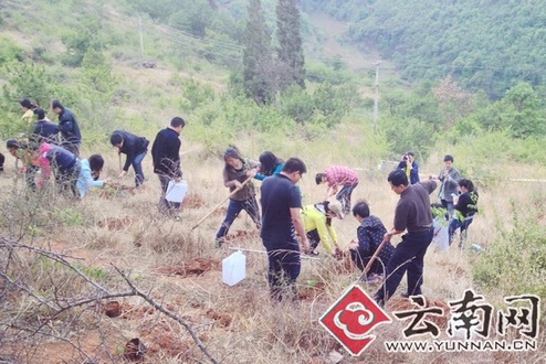 云南省委办公厅机关团委开展青年植树活动|团
