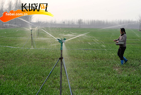 冬小麦进入灌浆期 邢台气象局专家建议预防干