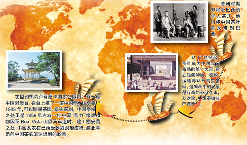 200年前的巴西梦竟是中国茶|足球|大力神杯