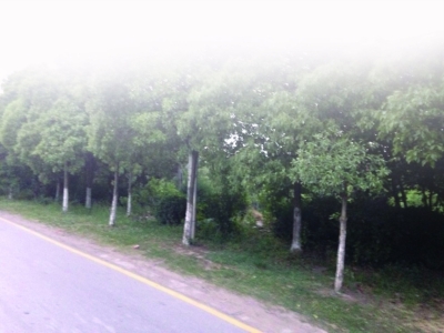 姐弟恋闹分手 大一男生命丧<em>女友</em>刀下|<em>小田</em>|学院