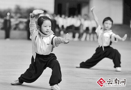 云南省将降低特长生招生比例|学生|班额