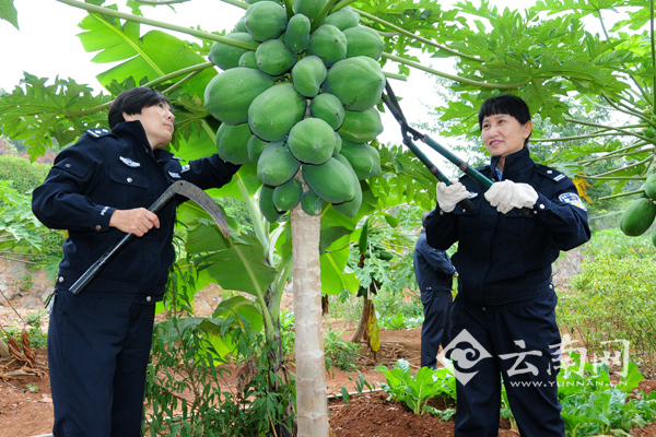 自己动手美化监区环境