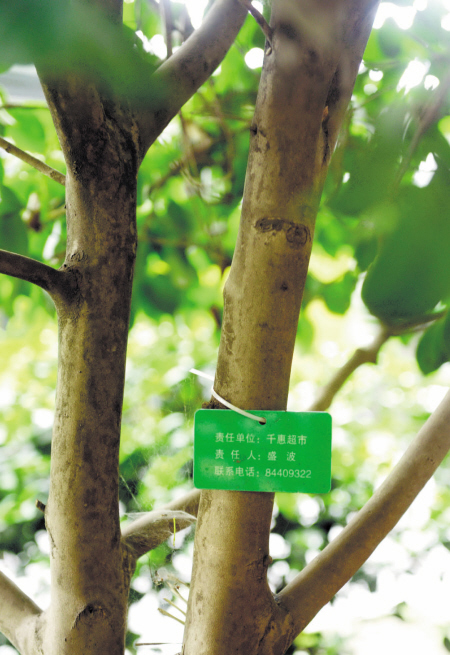 　　营盘路省展览馆路段栽种的树木都有认养它们的“主人”。