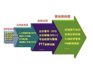 中国平安人才梦工厂:优才计划