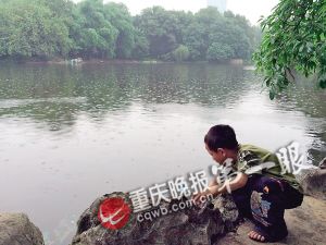 6岁男童落水获救后又想捞鱼 称父亲要做炸鱼