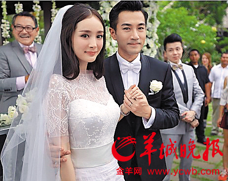 刘恺威和杨幂今年1月成婚