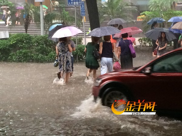 广州今日上午突降暴雨 部分路段积水严重|横穿