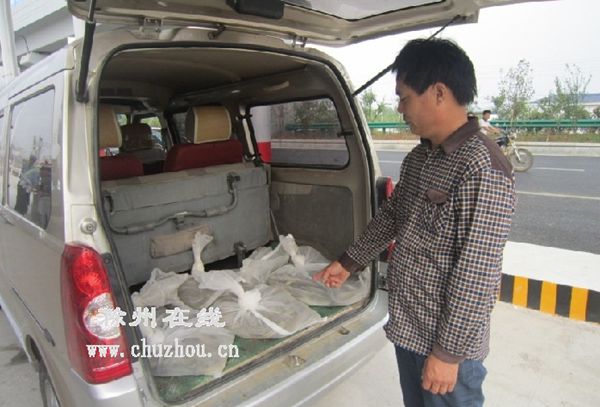 滁州天长端掉一非法收购野生动物窝点(图)|民警