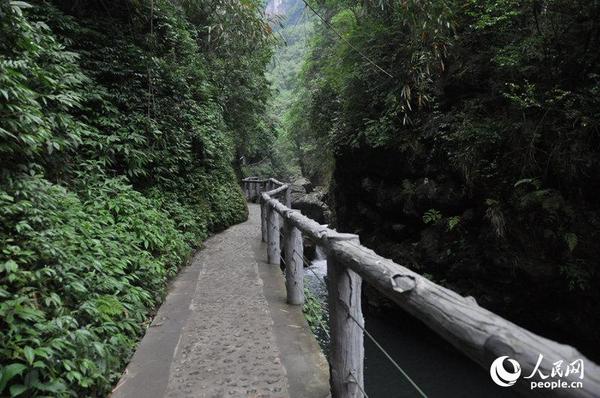 天意谷美景(人民网李政杰 摄)