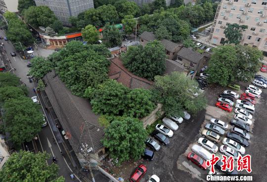7栋老建筑已经被杂草杂树占据了一大半的位置 泱波 摄-图片版权归原作者所有