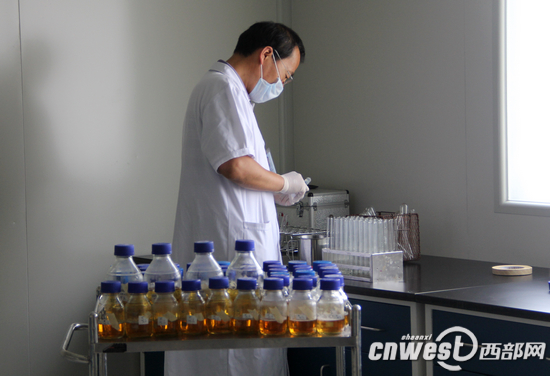 陕西搭建食品药品快速检测平台 可接受个人送