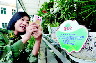 查站设有一个花栏墙,每盆花上记录着立功人员的名字和简介。孙明静也有一棵属于自己的蓬莱松。