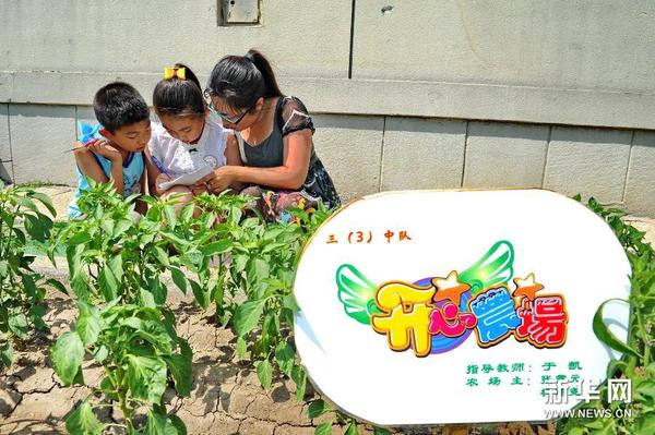 6月24日,一位老师(右一)指导学生记录作物的生长过程。