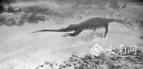海相幻龙复原图