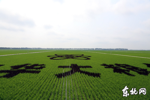 自产粮小哥哥_各省人均产粮