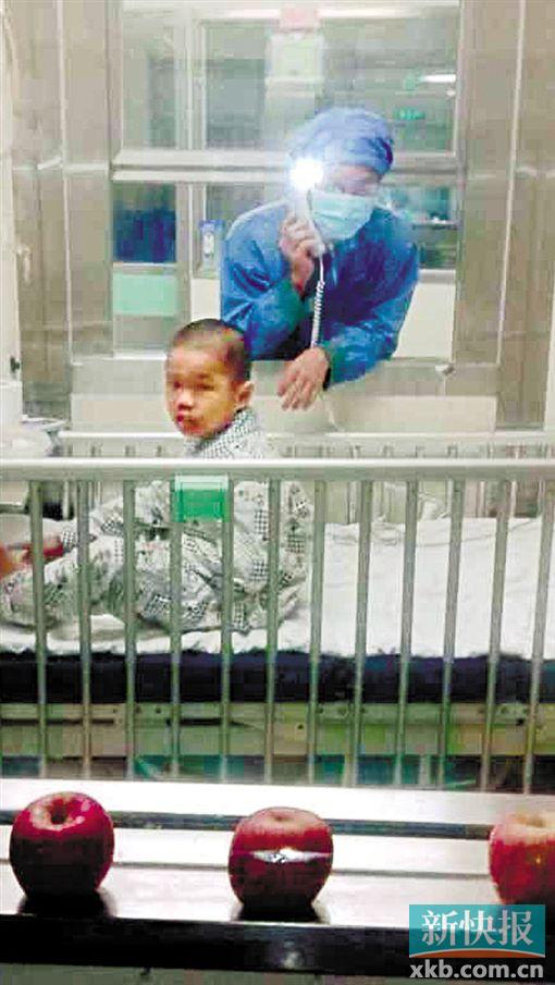 ■儿子入仓后,杨丽霞在仓外窗台上摆放了几只苹果,希望手术顺利,艾杨能平安出仓。但事与愿违,移植最终宣告失败。