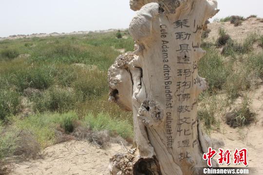 图片版权归原作者所有