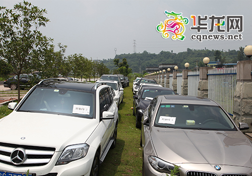 涉案车辆全是豪车 合川区公安局供图