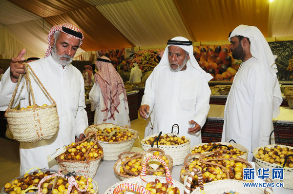 图为专家们对参评椰枣进行评选。