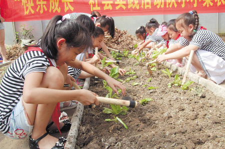 在蔬菜基地师傅的指导下,城里的孩子们学着种菜 周和平 摄