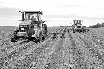 单兵口粮_中国人均口粮