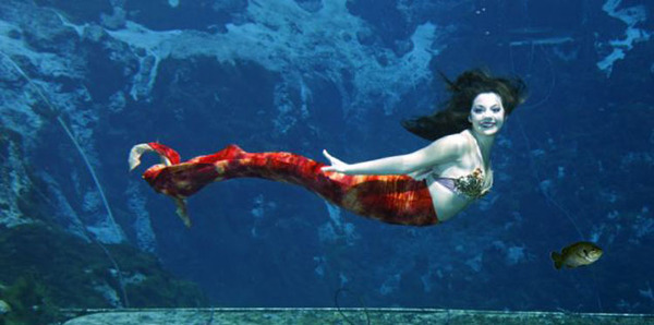 利古里小时候在水族馆看过年仅3岁的小美人鱼表演后，就迷上了这种生物。