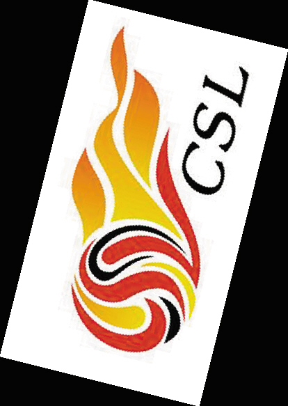 中超亚冠名额缩水|亚冠|中超_凤凰资讯