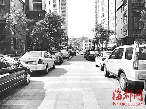 市政道路成停车场 还有人收费?