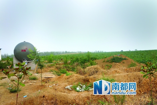 135米深的机井也很难抽到水,孙建平不得不又买了个容量十吨的储油罐来储水灌溉,苦苦维持着120亩核桃林。